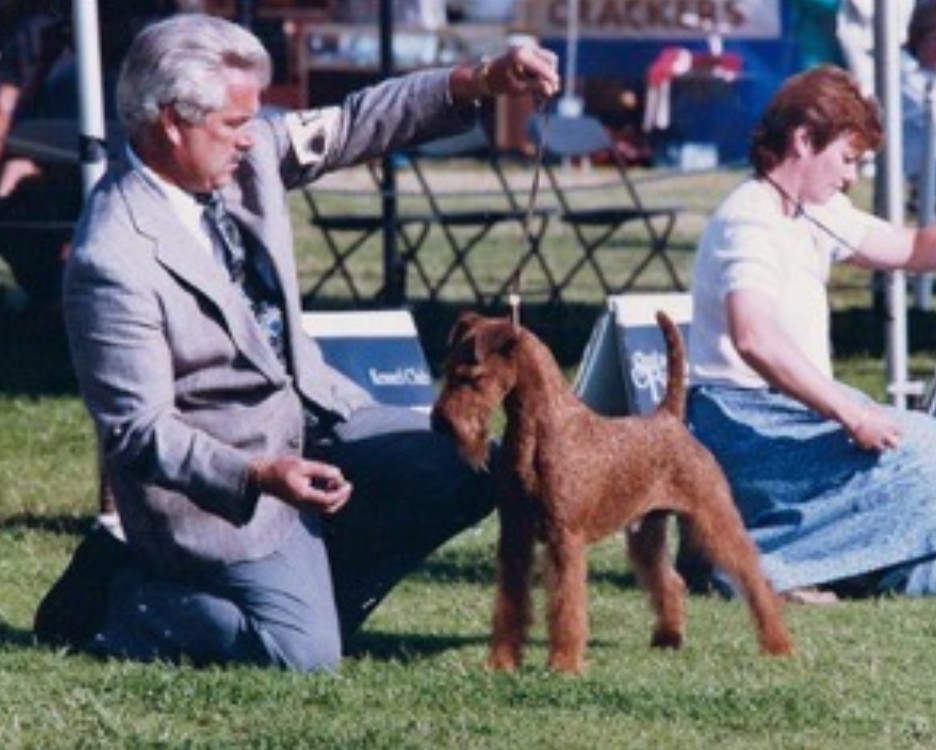 Daniel Sackos, Dog Breed: Geordan Irish Terriers