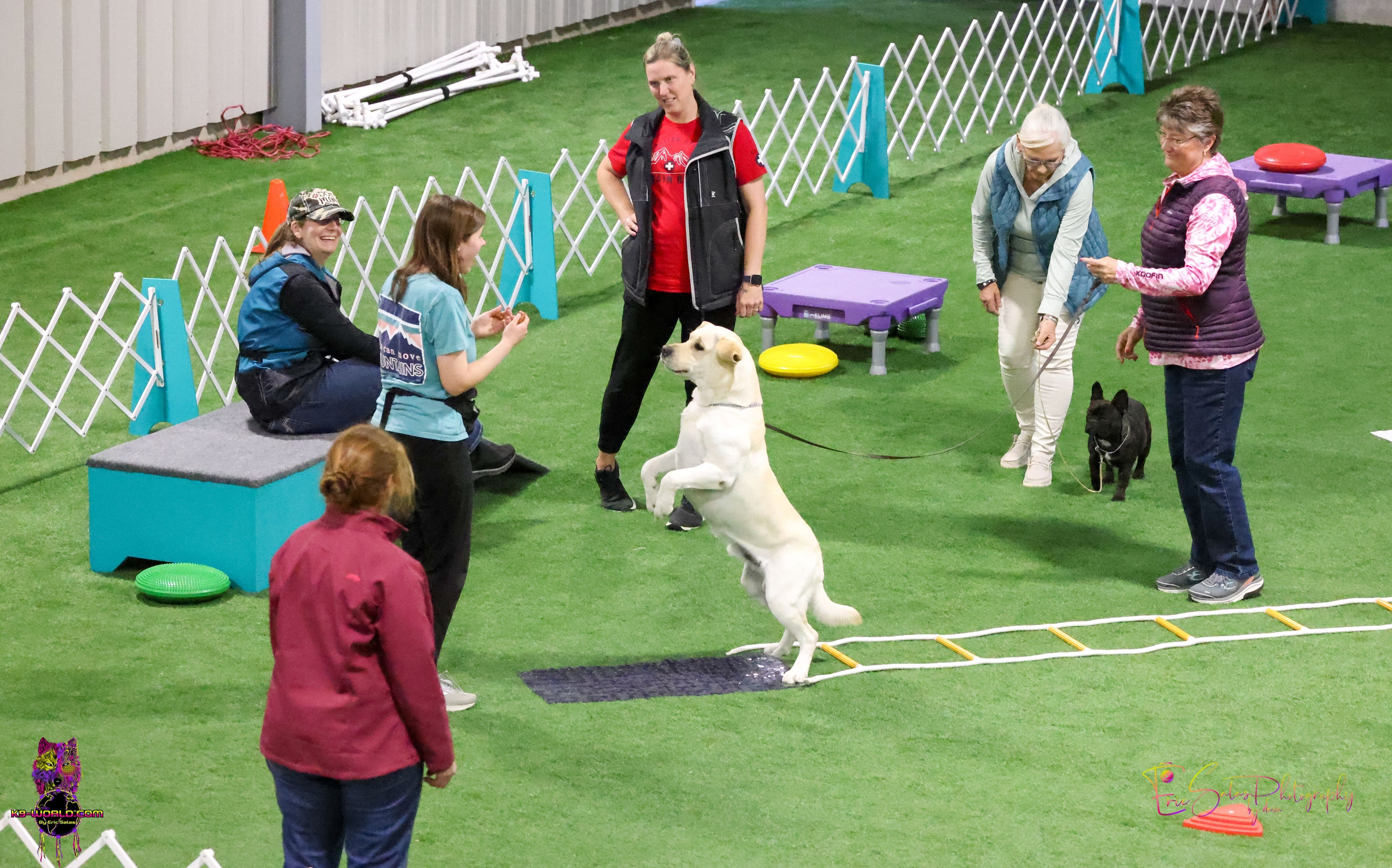 Eric Salas In All-Breed Dog Training Program